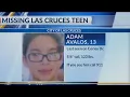 Police searching for missing Las Cruces teen