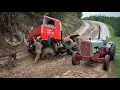 Lagu Unbelievable Stupid People Working On Trucks And Heavy Equipment Will Shock You