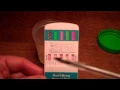 Conducting a 5 panel urine drug test Guide to how it works and how to read the results