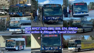 MTA NYCT S79-SBS S59 S74 SIM1C Bus action Eltingville Transit Center