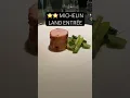 Download Lagu A ⭐️⭐️ MICHELIN Experience | Jungsik: Land Entrée