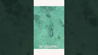 KNOW YOUR LIMITS – Freediving Part 1 #sailing #freediving #oceanlife #blackout