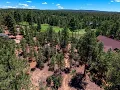 4531 W Foxglove Lane Show Low AZ 85901