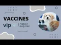 VIP Animal Hospital Vaccines