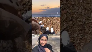 فلوق ايام من رمضان فلوق Aestheticvlog رمضان 2024 Unidiaries فلوجات Lifestyle Vlogs 