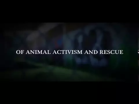"Give Me Shelter" Theatrical Trailer - Produced by Katie Cleary