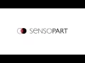 Vision sensor VISOR Initial operation