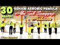 Lagu 30 MENIT SENAM AEROBIC PEMULA | AKU TAK SANGGUP LAGI X AISHITERU | Irna Chendani