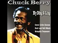 Sweet Little Sixteen - Chuck Berry
