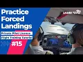 Learn To Fly RPL PPL Flying Lesson E15 Practice Forced Landings