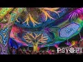 AJJA's full set at Psy-Fi 2018