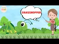 Grasshopper Facts For Kids Learn All About Grasshoppers MON Kids