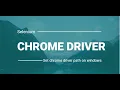 How to Set Chromedriver Path in Selenium Install Chromedriver on Windows 10 SQA Tools