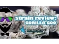 Strain Review Gorilla Goo Deep Roots Harvest - YoungFashioned com