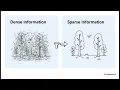 AI s Blueprint Sparse Coding