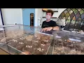 Parlor Doughnuts Opens in North County San Diego - Oceanside