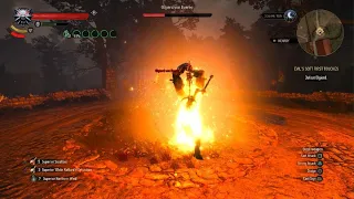 Level 100 Witcher vs an Immortal Death March NG PS5