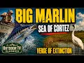 Sea of Cortez Marlin Fishing Whooping Cranes Jim Thomas Outdoor TV Classics