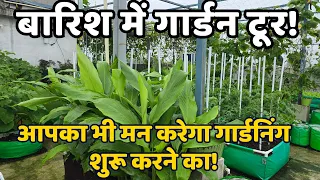 बारिश में गार्डन टूर: यह गार्डन देखकर आपका भी मन करेगा गार्डनिंग शुरू करने का! Barish Me Garden Tour