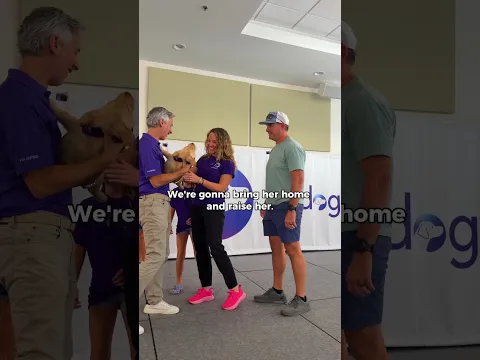 From Snuggles to Service: The Journey of a Puppy Raiser 🐾💜