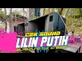 Lagu CEK SOUND DANGDUT “LILIN PUTIH” || DUNG TUKK GAJAHAN ‼️
