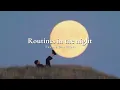 Download Lagu Vietsub |  Routines in the Night - Twenty One Pilots | Lyrics Video