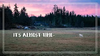 These are the LAST STEPS Before things start to go back together!  | Ch 5 E 49 | Sailboat Rebuild