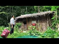 Download Lagu CEO Leaves City for the Woods to Restore Abandoned Old House -  Unbelievable Transformation!