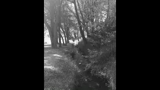 محمد عبد الجبار مصطفى الربيعي قلب على الورقة نرسم 