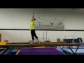 Freehold Elite Gymnastics Copper Beam 2016-2017 Righty
