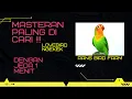 Masteran Murai batu juara - Lovebird ngekek dengan jeda 1 menit