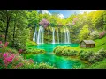 Download Lagu Beautiful Relaxing Music - Stop Overthinking, Stress Relief Music, Sleep Music, Calming Music #172