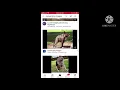 Reacting to cursed images of dogs