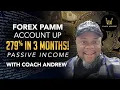 Download Lagu Forex PAMM Account| 279% Returns In 3 Months!