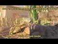 How to KILL GREEN SHIELD BUGS In Grounded