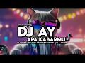Lagu DJ AY APA KABARMU BREAKBEAT || DJ VIRAL TIKTOK TERBARU 2025