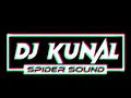 Download Lagu SPIDER SOUND DJ KUNAL