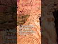 Download Lagu Ey Rabbimiz (Al-i İmran/9) (Ali İmran/9)  #kuran