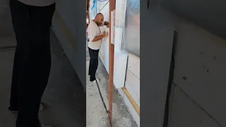                     دندنها