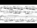 Download Lagu Daniël Ruyneman - Hallucination