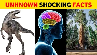 25 Interesting Facts You Didn't Know! 