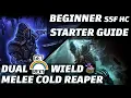 Grim Dawn 1 2 Beginner Guide - Cold Dual Wield Reaper HC viable