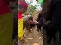 Download Lagu Satu Keluarga Pada Kena Sama Kuda Lumping!!! Seni Benjang Mekar Budaya