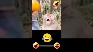 يا عيني ده اتصدم 