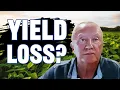 Are We In For Some Yield Loss - Sherman Newlin on RFD-TV