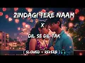 Zindagi Tere Naam X Dil Se Dil Tak ( Slowed + Reverb ) Arijit Singh | Vishal Mishra