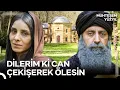 Lagu Bu Türbede Yatan Osmanlı'nın İstikbaliydi | Muhteşem Yüzyıl