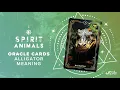 Alligator Spirit Animal Symbolism Meaning Explained