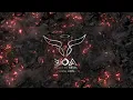 BOA logo animation