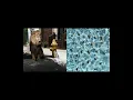 Millidelphia (feat. Swizz Beatz)